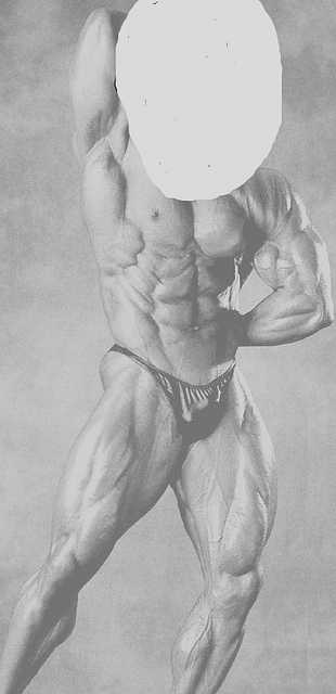 2011 Bodybuilding images