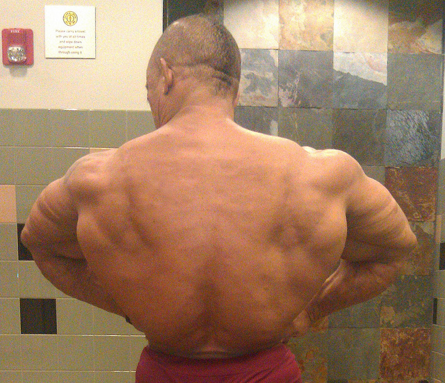 2011 Bodybuilding images