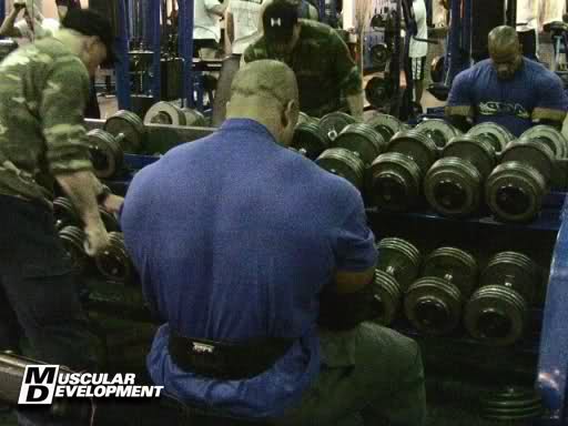 2011 Bodybuilding images