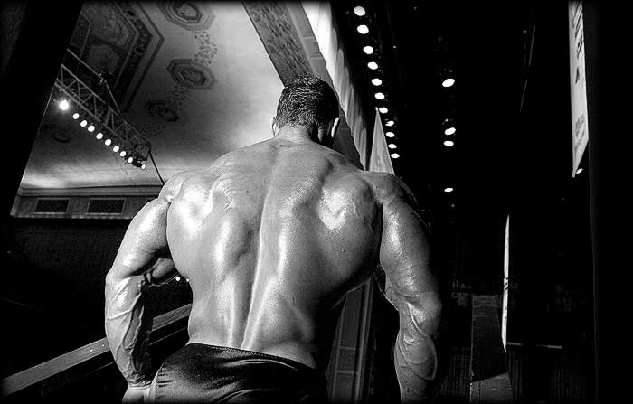 2011 Bodybuilding images