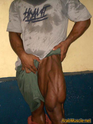 2011 Bodybuilding images