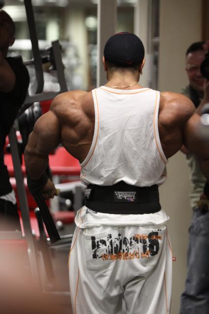 2011 Bodybuilding images