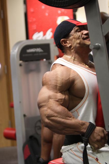 2011 Bodybuilding images