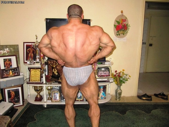 2011 Bodybuilding images