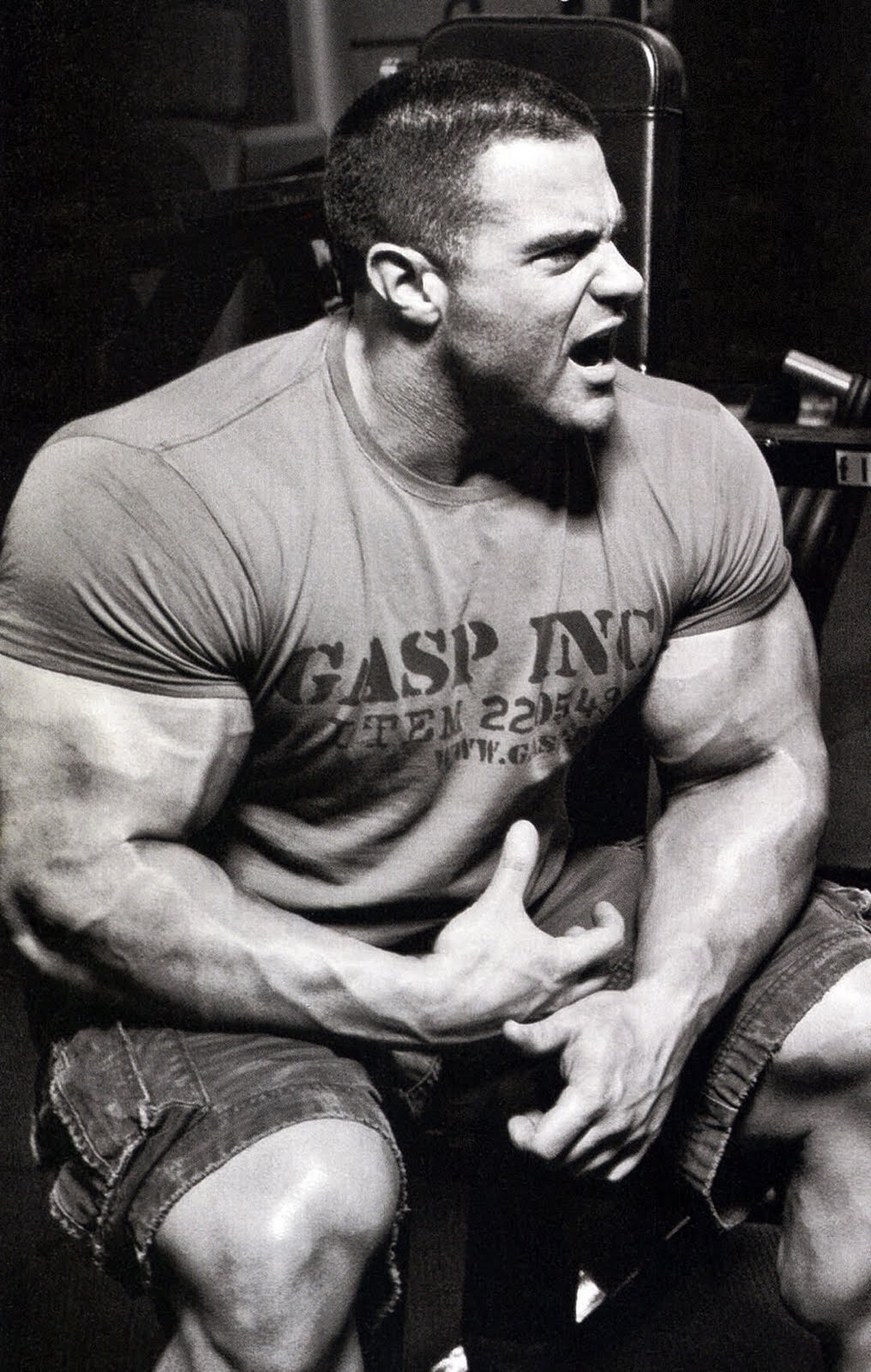 2011 Bodybuilding images