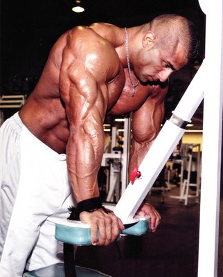 2011 Bodybuilding images