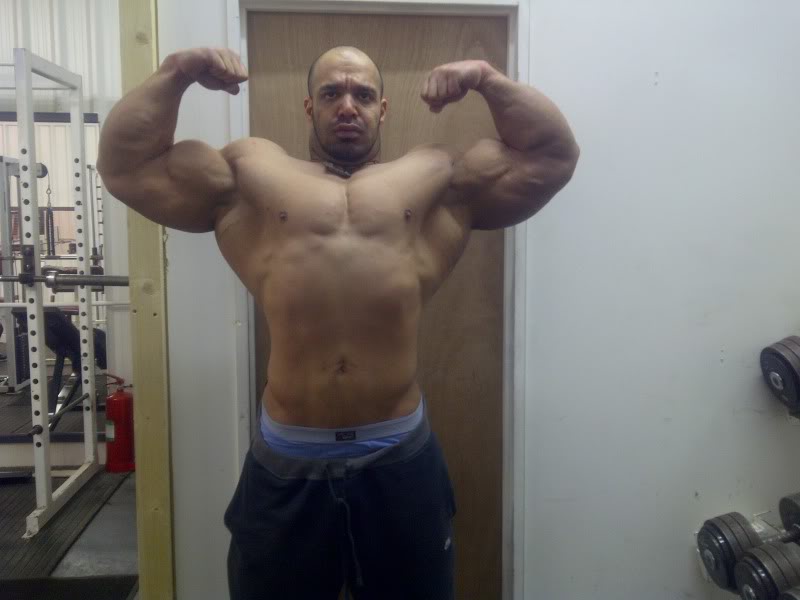 2011 Bodybuilding images