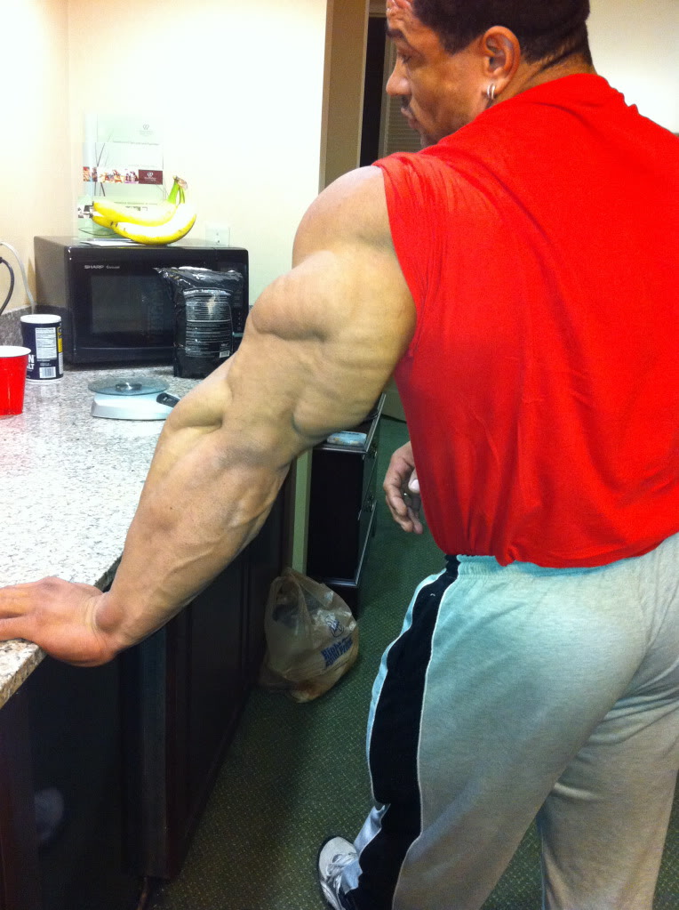 2011 Bodybuilding images