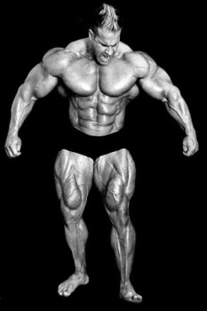 2011 Bodybuilding images