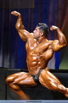 2011 Bodybuilding images