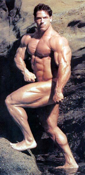 2011 Bodybuilding images