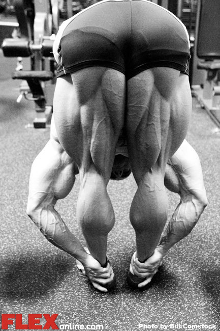 2011 Bodybuilding images