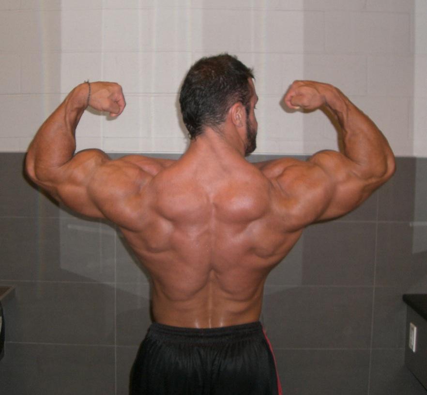 2011 Bodybuilding images