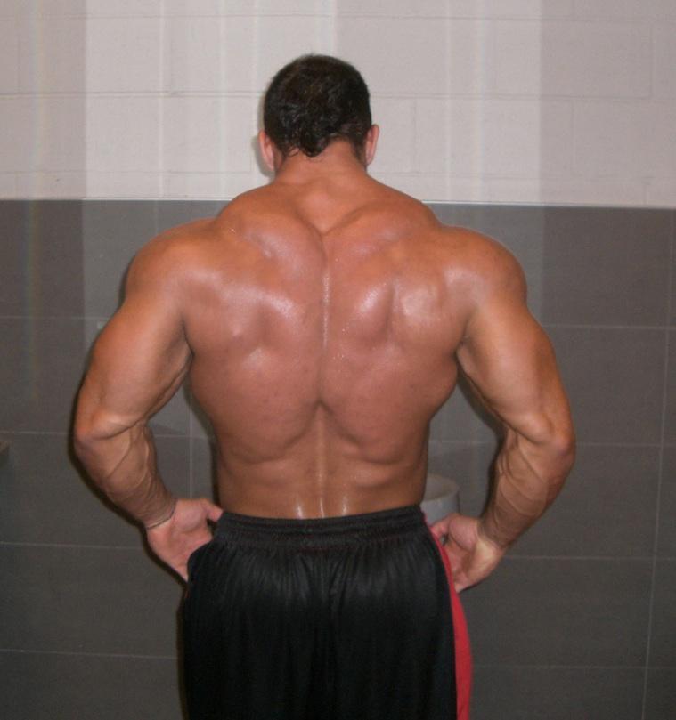 2011 Bodybuilding images