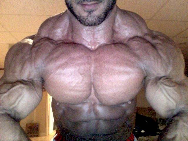 2011 Bodybuilding images