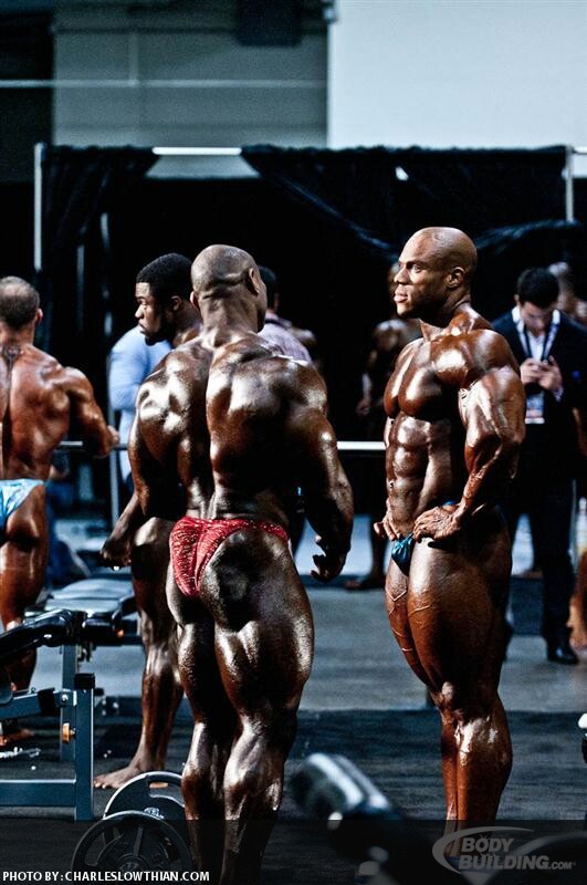 2011 Bodybuilding images