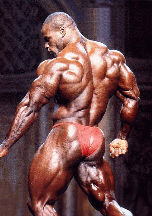 2011 Bodybuilding images