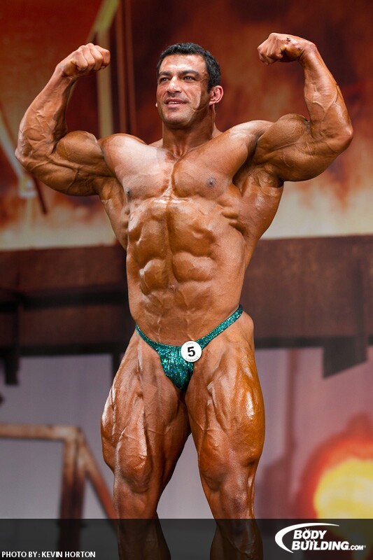 2011 Bodybuilding images