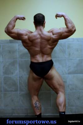 2011 Bodybuilding images