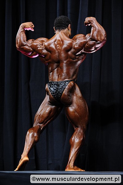 2011 Bodybuilding images