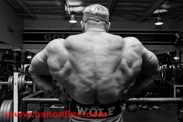 2011 Bodybuilding images