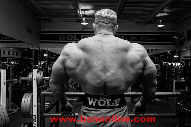 2011 Bodybuilding images