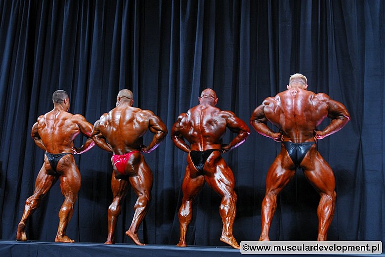 2011 Bodybuilding images