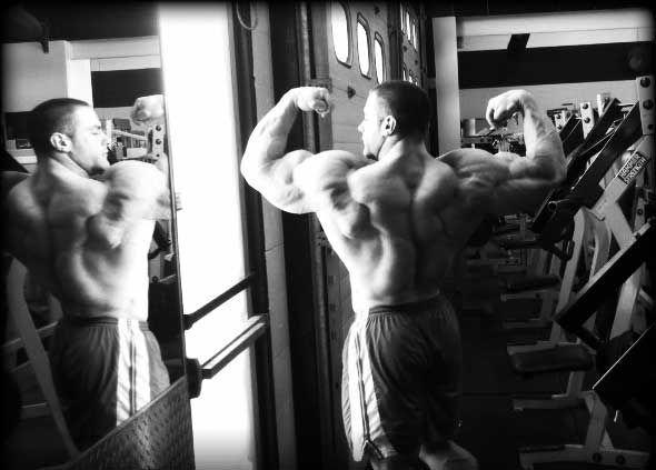 2011 Bodybuilding images