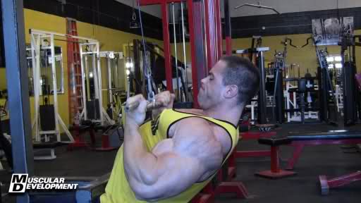 2011 Bodybuilding images