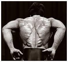 2011 Bodybuilding images