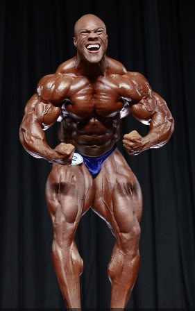 2011 Bodybuilding images