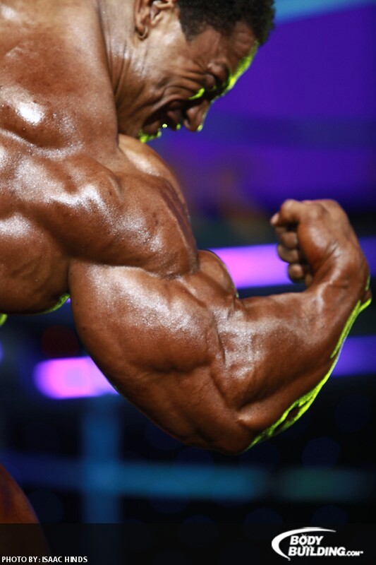 2011 Bodybuilding images