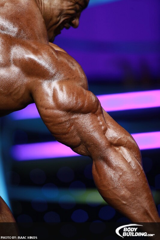 2011 Bodybuilding images