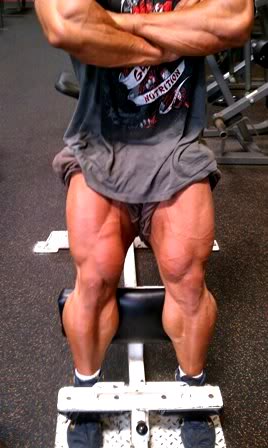 2011 Bodybuilding images