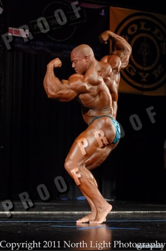 2011 Bodybuilding images