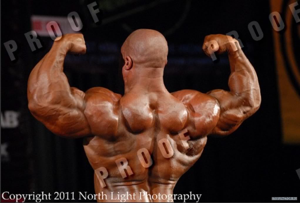 2011 Bodybuilding images