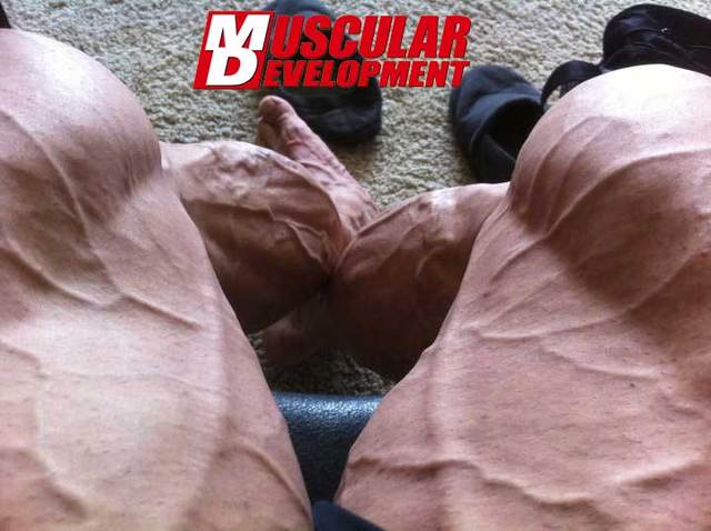 2011 Bodybuilding images