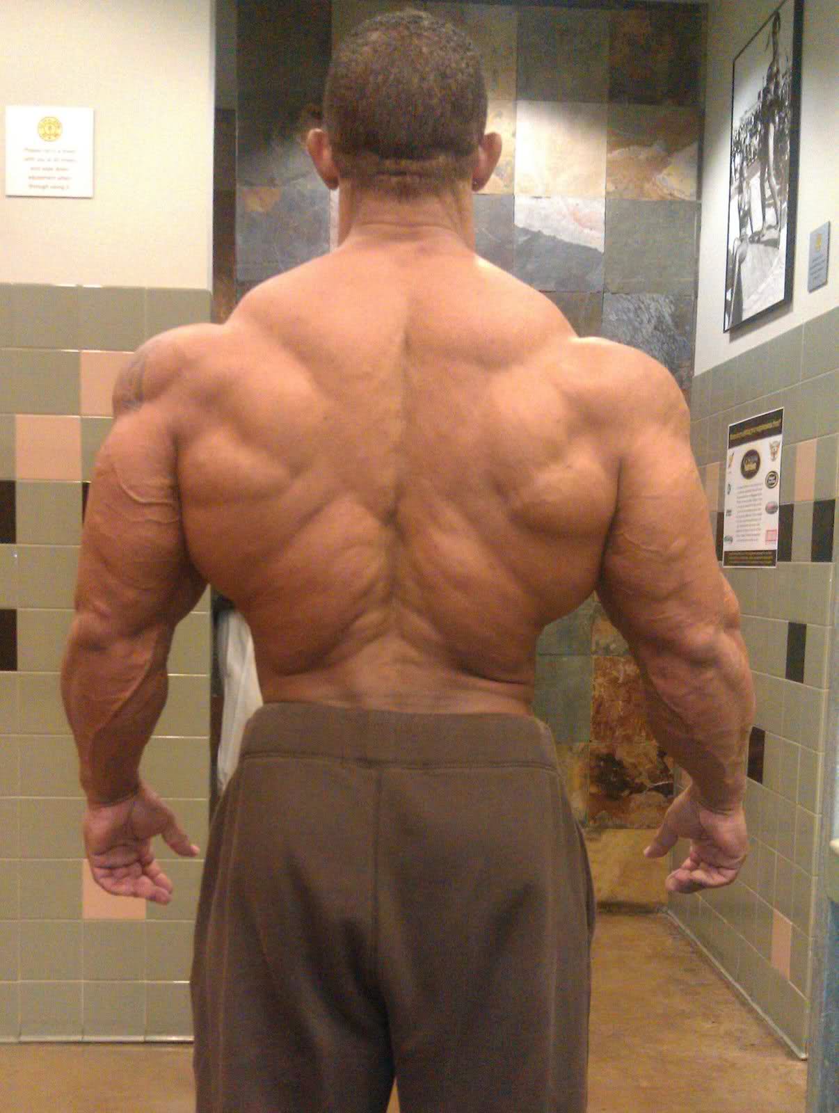 2011 Bodybuilding images