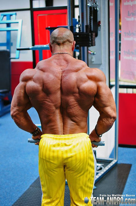 2011 Bodybuilding images