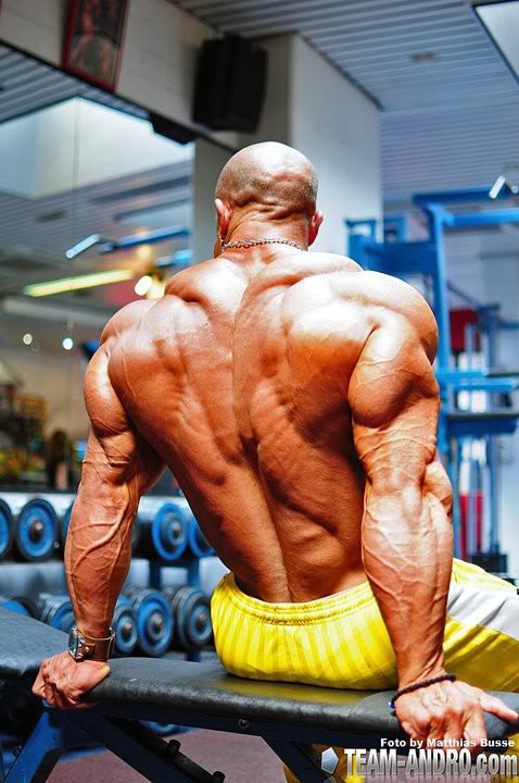 2011 Bodybuilding images