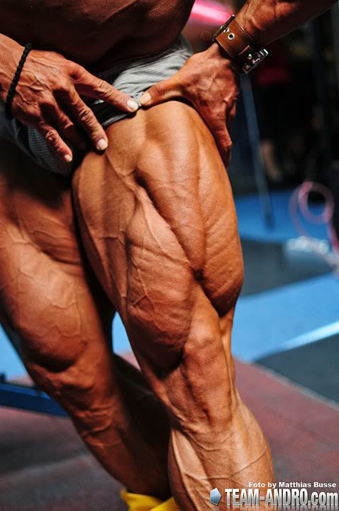 2011 Bodybuilding images