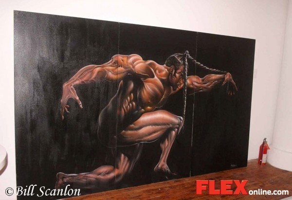 2011 Bodybuilding images