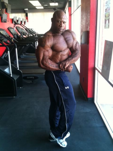 2011 Bodybuilding images