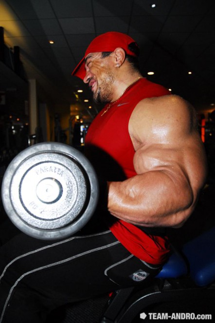 2011 Bodybuilding images