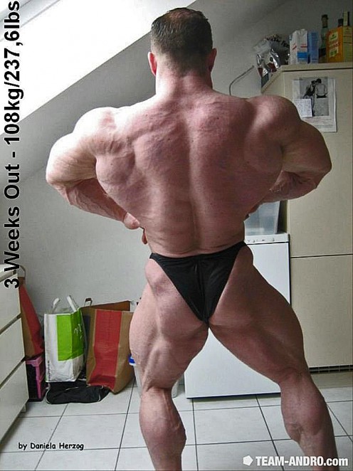 2011 Bodybuilding images