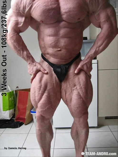 2011 Bodybuilding images