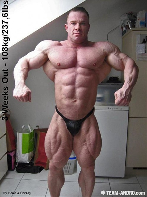 2011 Bodybuilding images