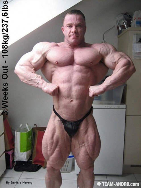 2011 Bodybuilding images