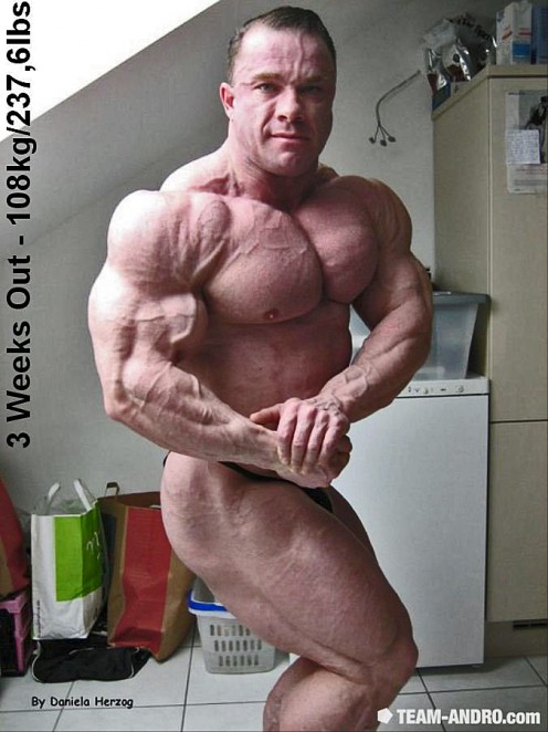 2011 Bodybuilding images