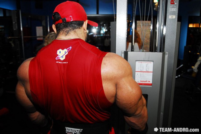 2011 Bodybuilding images